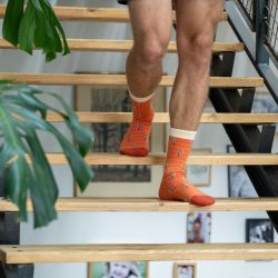 Orange cactus cotton socks