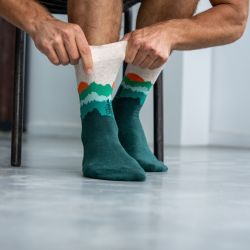 THE GRIZZLY socks  combed cotton