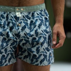 Organic cotton boxer shorts  Blue Jay