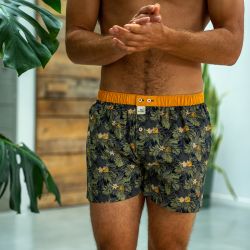 Organic cotton boxer shorts  Canopy