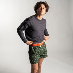 Organic cotton boxer shorts  Prancer