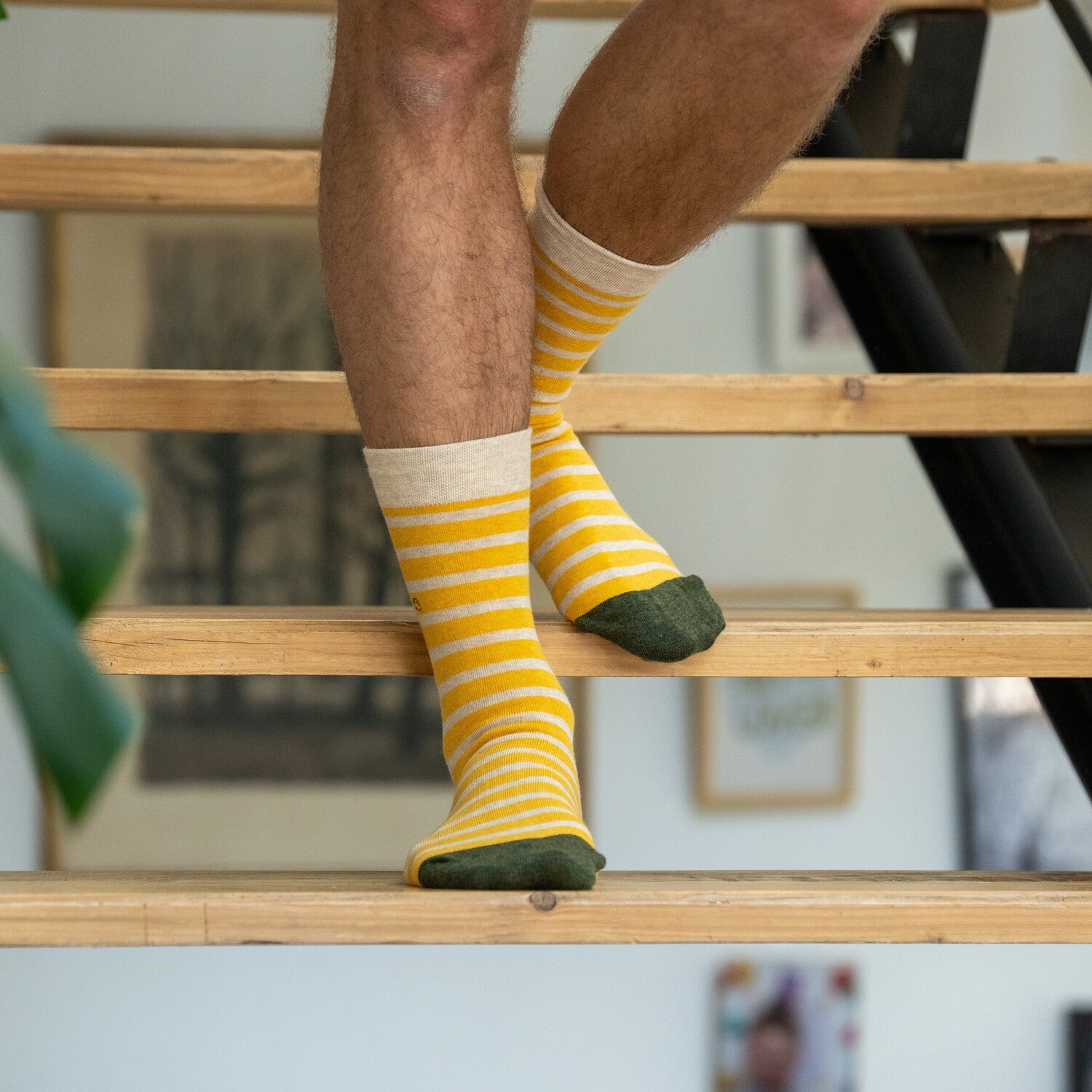 Chaussettes en coton peigné A rayures larges - Jaune safran