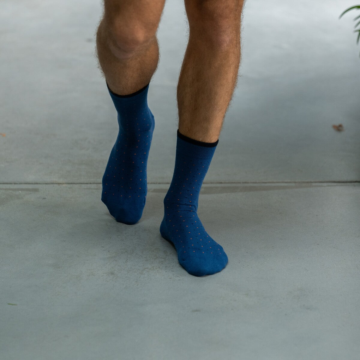 Socks in combed cotton Square - The 44