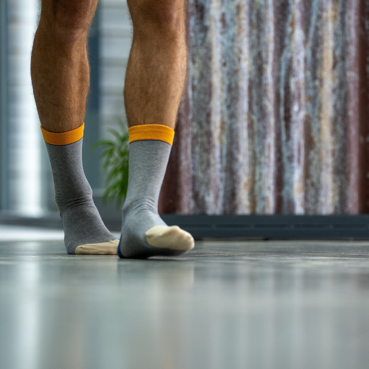 Chaussettes en coton peigné Rayées - Sunset