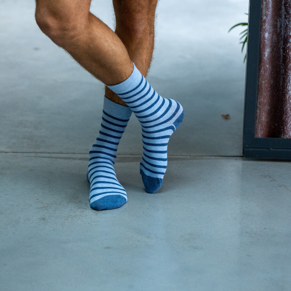 Socks in combed cotton Wide stripes - Light blue, blue striped