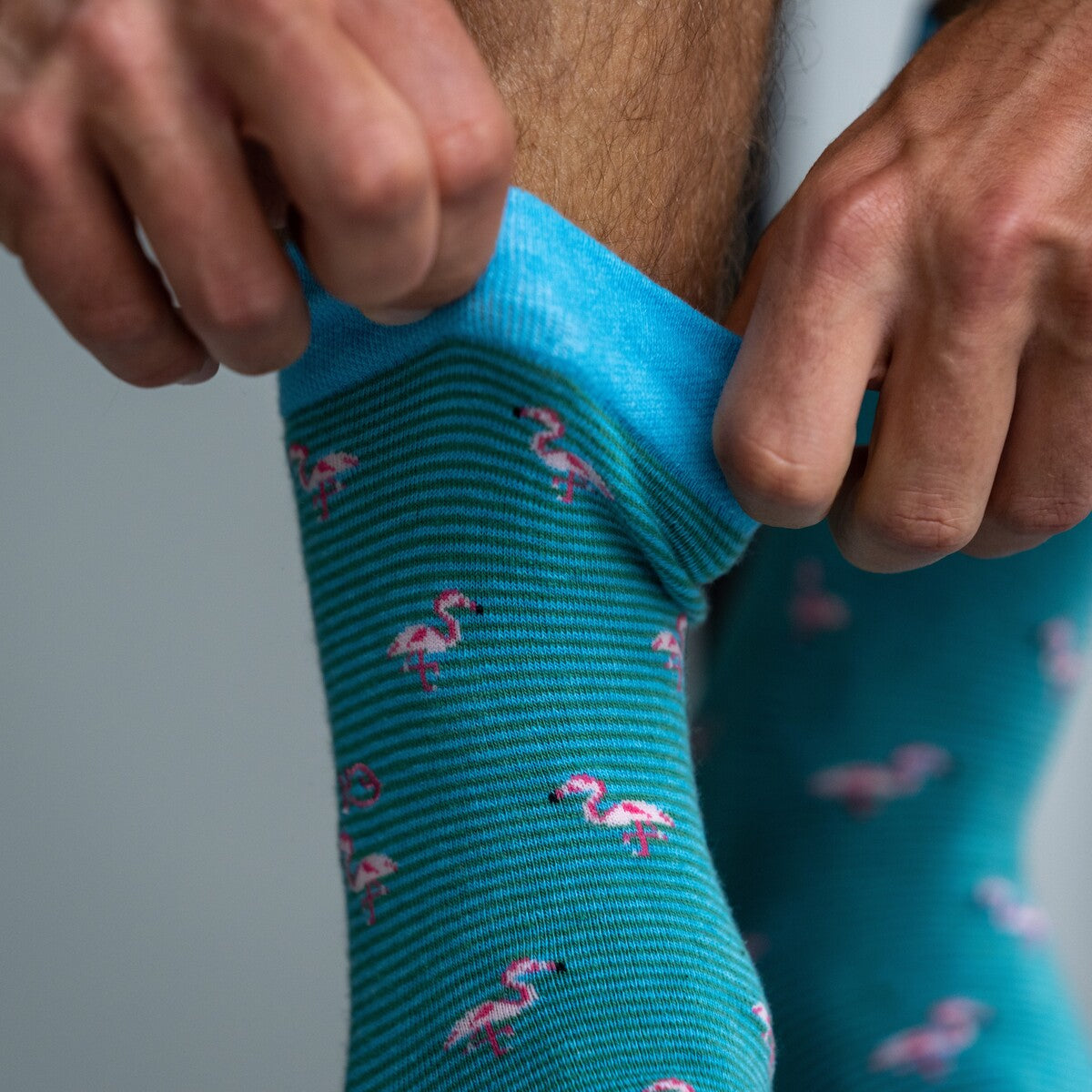 Chaussettes en coton peigné Animaux - Flamant rose