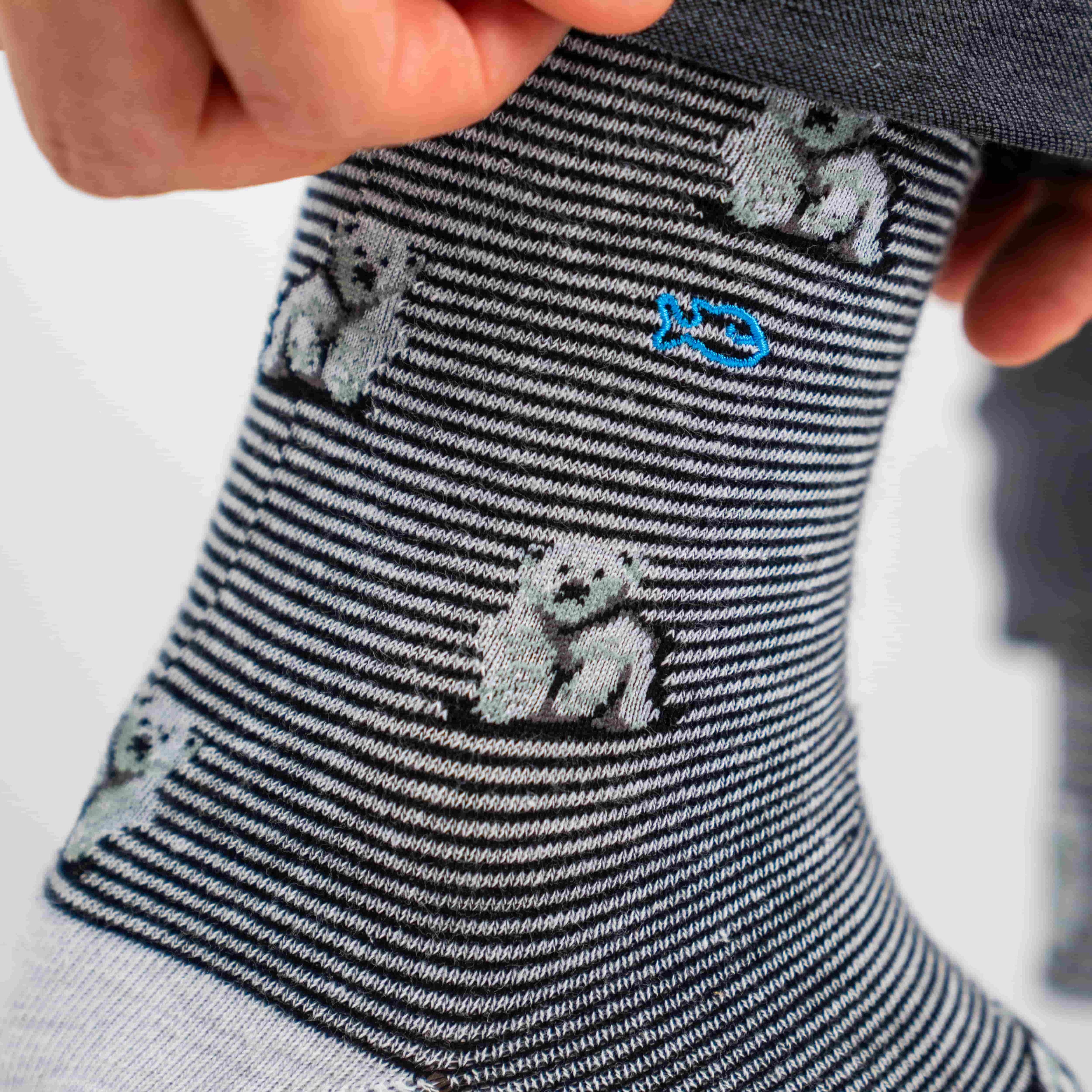 Socks in combed cotton Animals - Polar bear