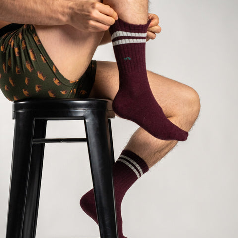 Socks in combed cotton Retro - Burgundy, beige striped