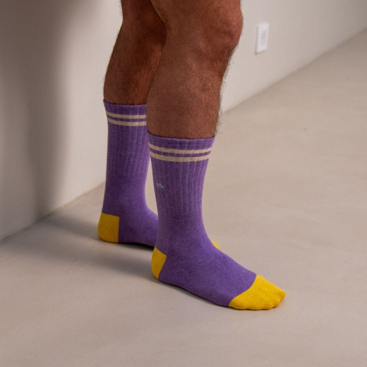 Socks in combed cotton Retro - Purple, beige striped