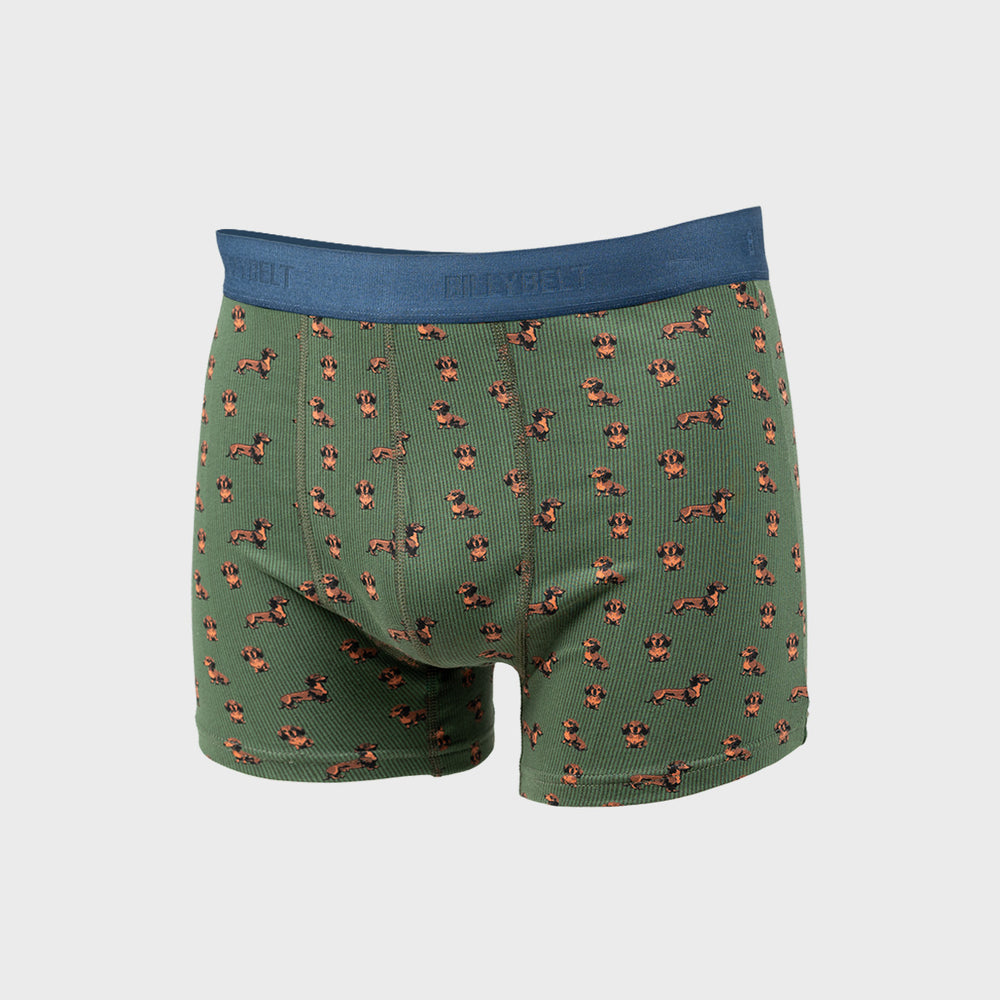 Boxer brief in organic cotton Teckel