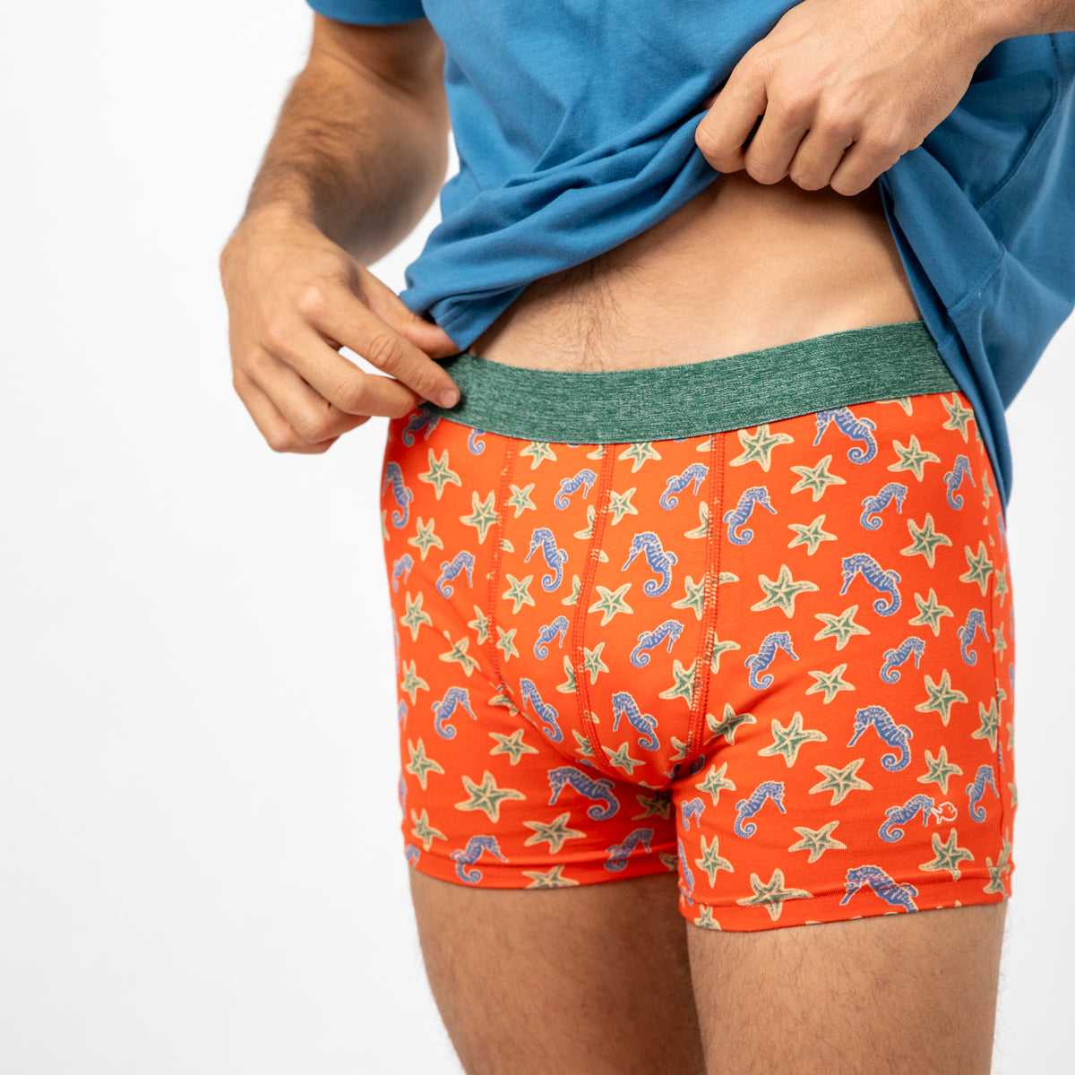 Boxer brief in organic cotton Seahorse