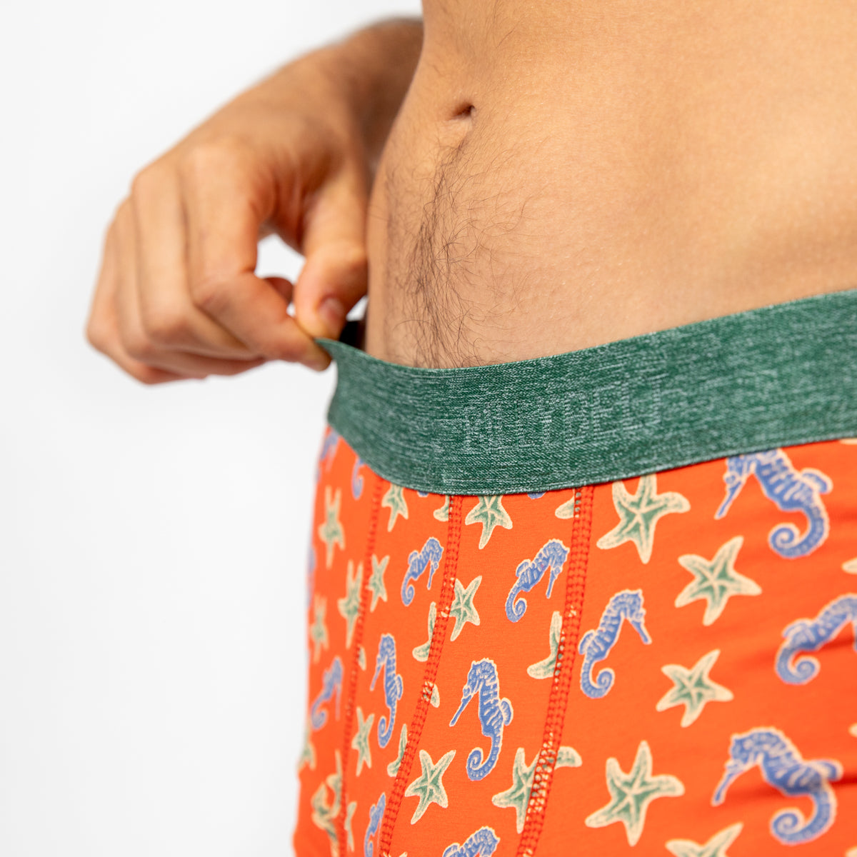 Boxer brief in organic cotton Seahorse