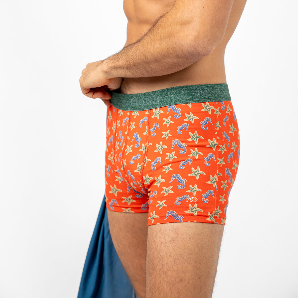 Boxer brief in organic cotton Seahorse