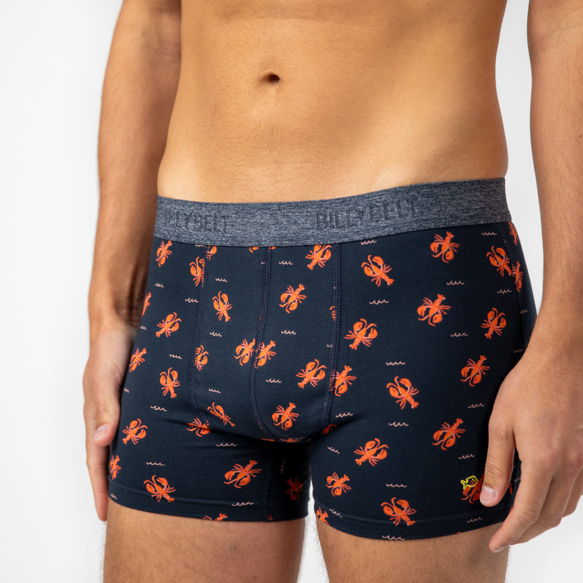 Boxer brief in organic cotton Lobster