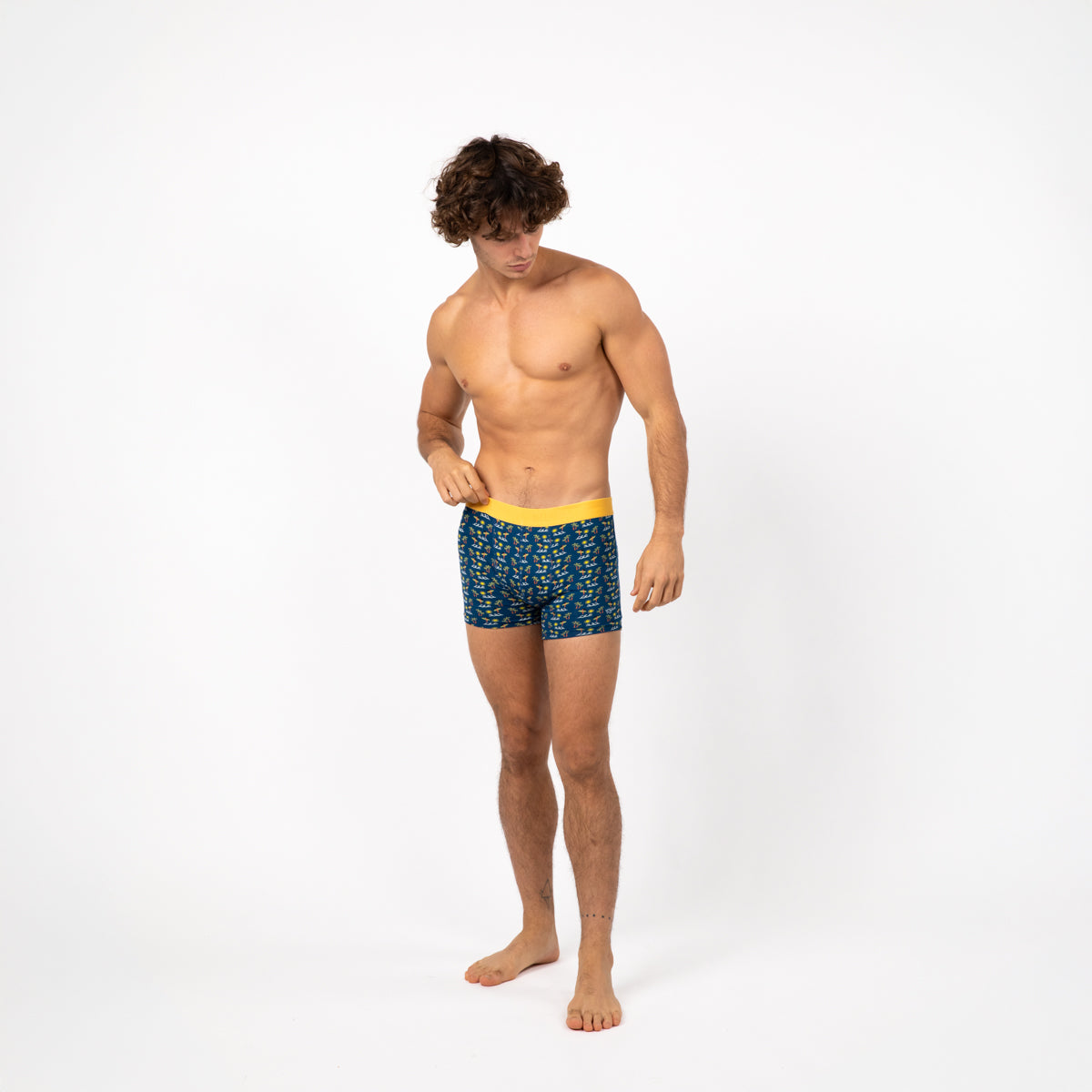 Boxer brief in organic cotton Aloa