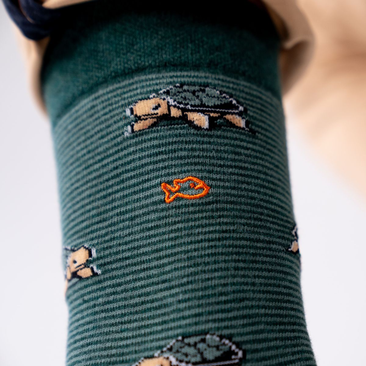 Chaussettes en coton peigné Animaux - Tortue