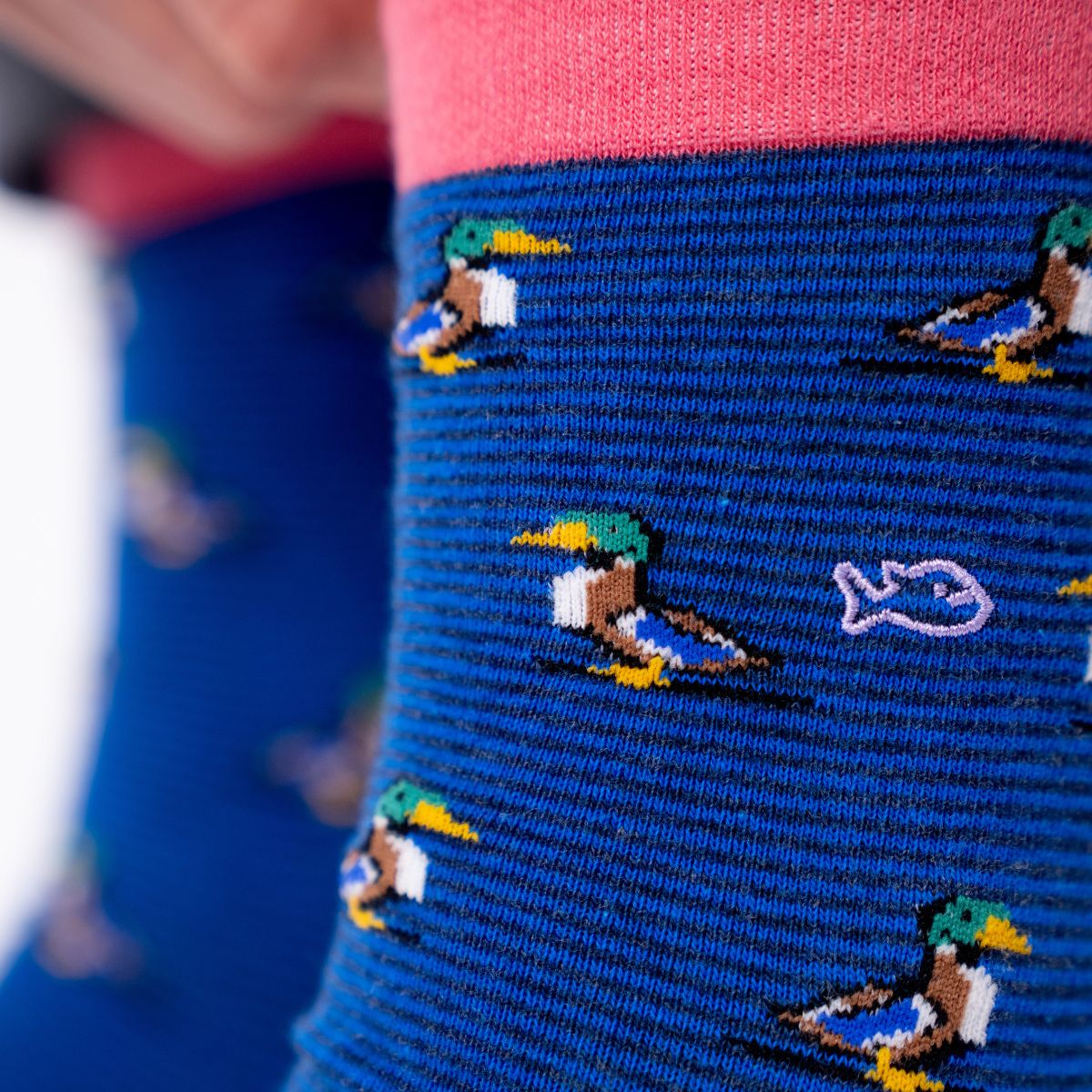 Chaussettes en coton peigné Animaux - Canard