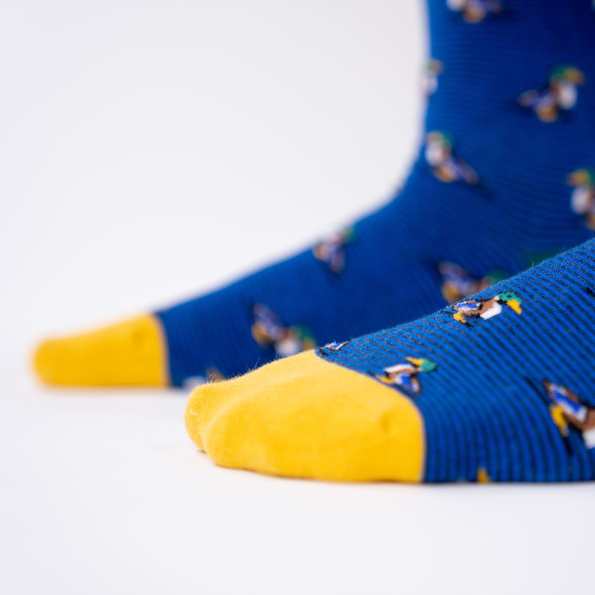 Chaussettes en coton peigné Animaux - Canard