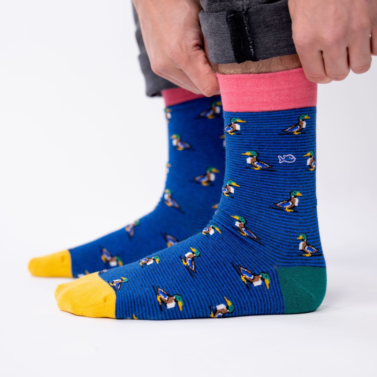 Chaussettes en coton peigné Animaux - Canard