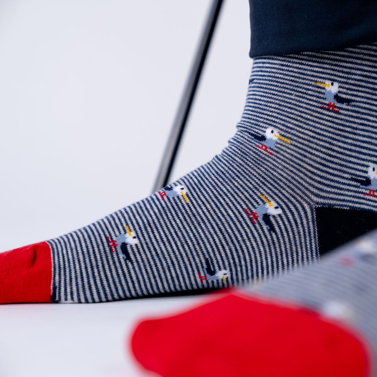 Chaussettes en coton peigné Animaux - Goéland