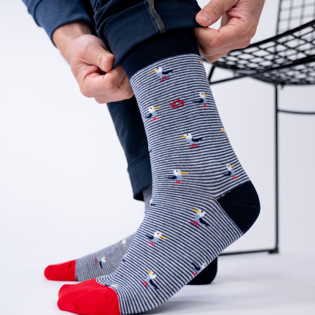 Chaussettes en coton peigné Animaux - Goéland