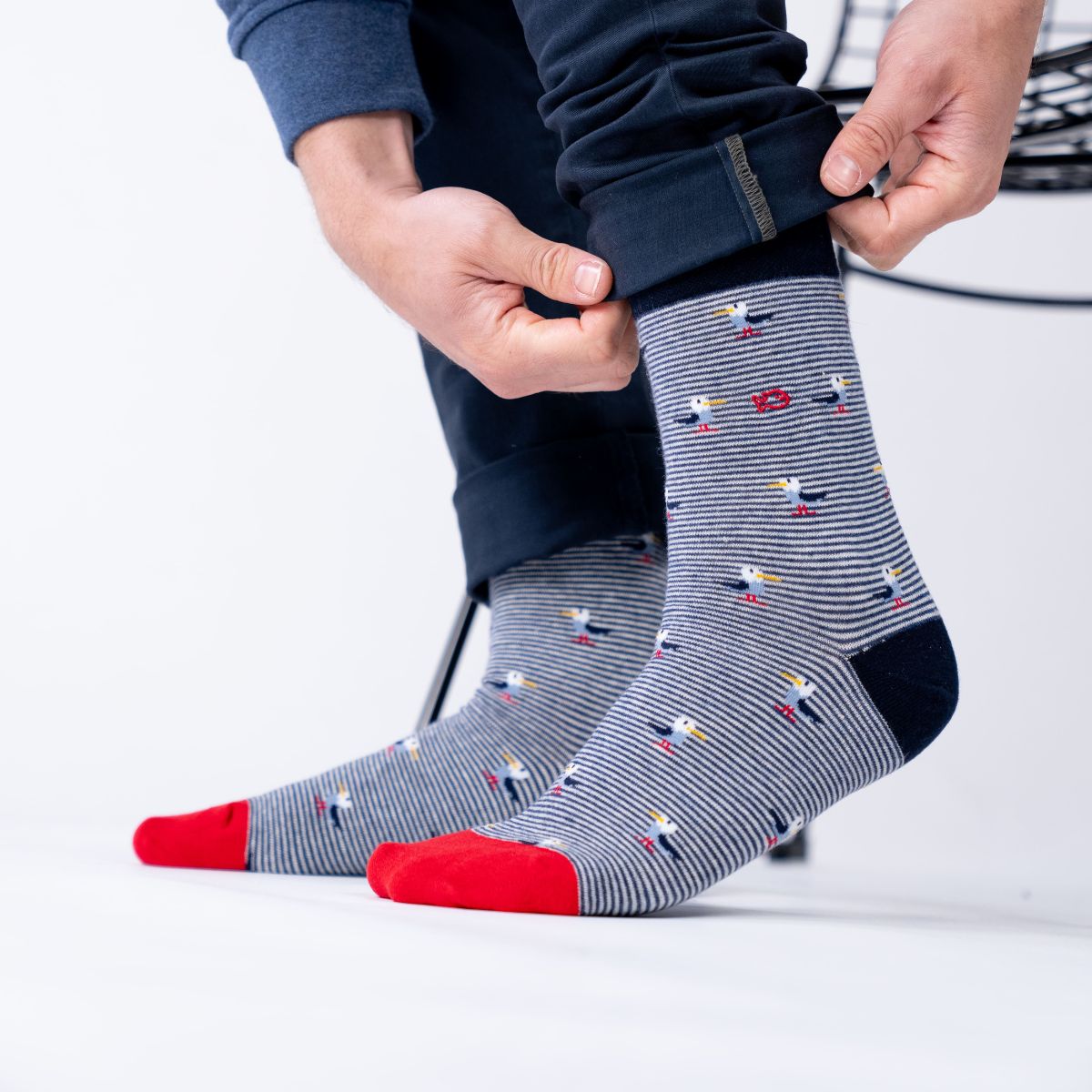 Socks in combed cotton animals - gull - BILLYBELT