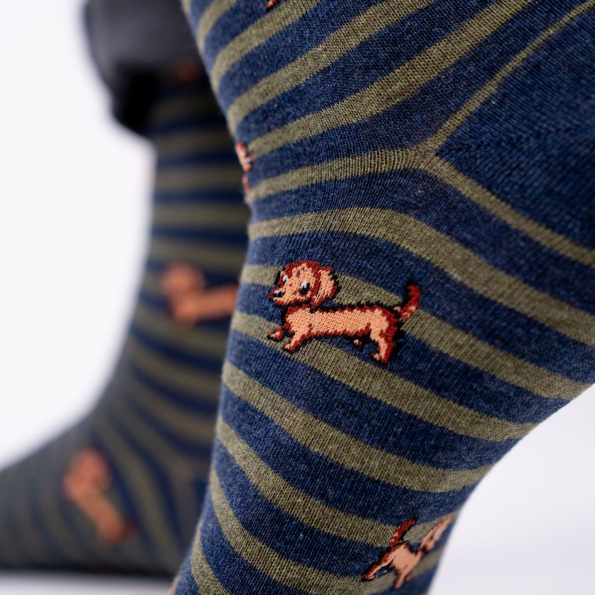 Chaussettes en coton peigné Animaux - Chien