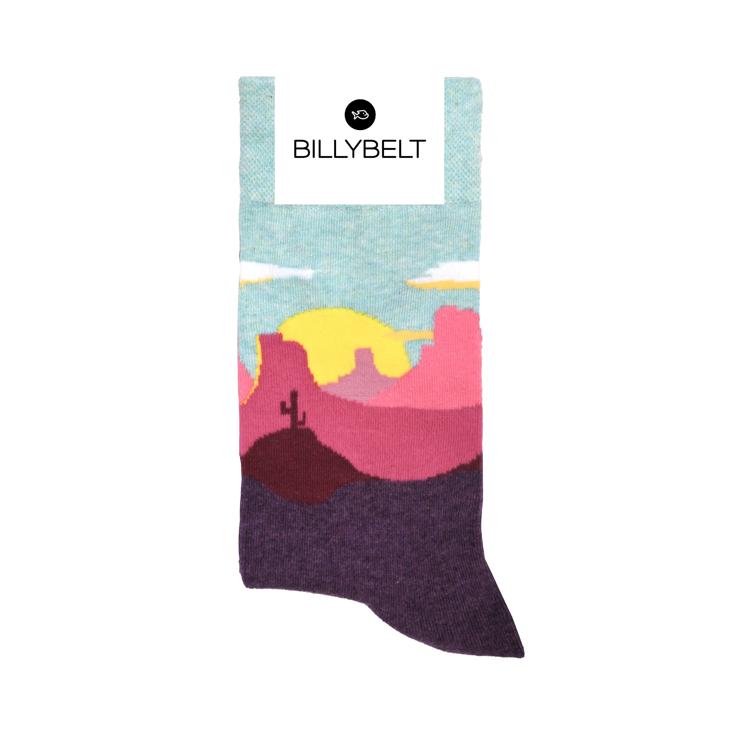 Coffret 5 chaussettes Violet