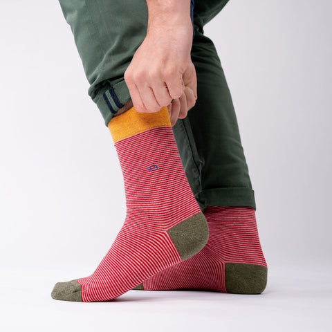 Socks in combed cotton Striped - Kilimandjaro