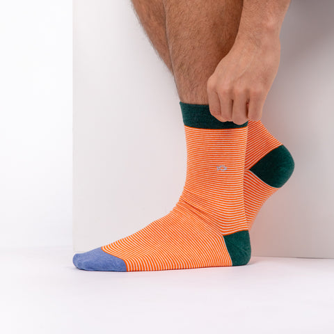 Socks in combed cotton Striped - Bold