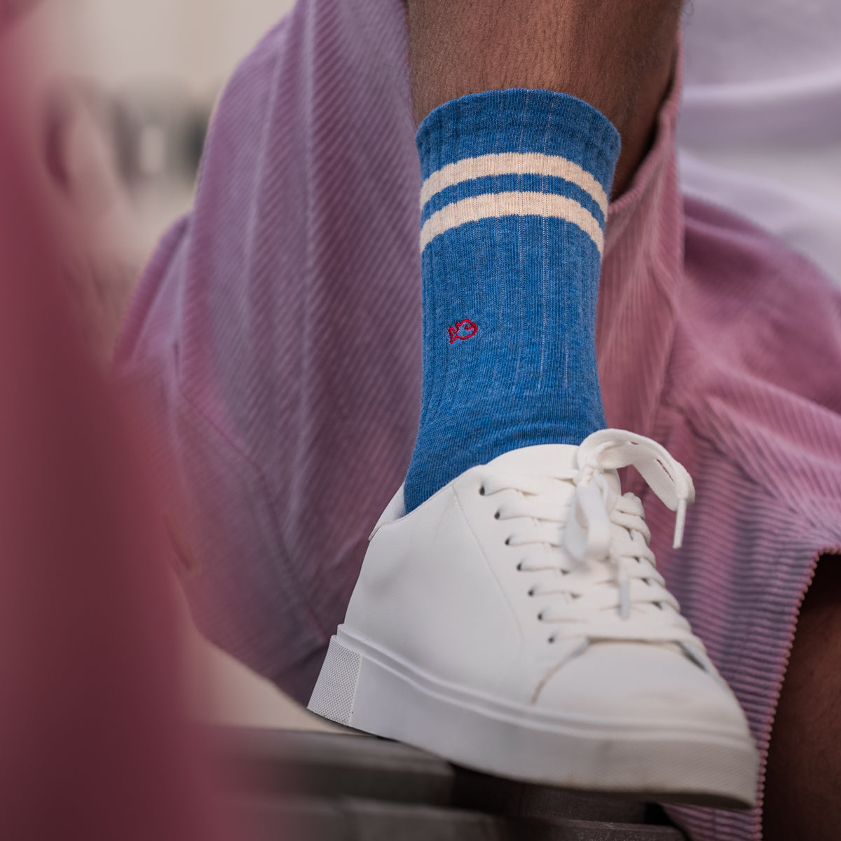 Socks in combed cotton Retro - Light blue, striped beige