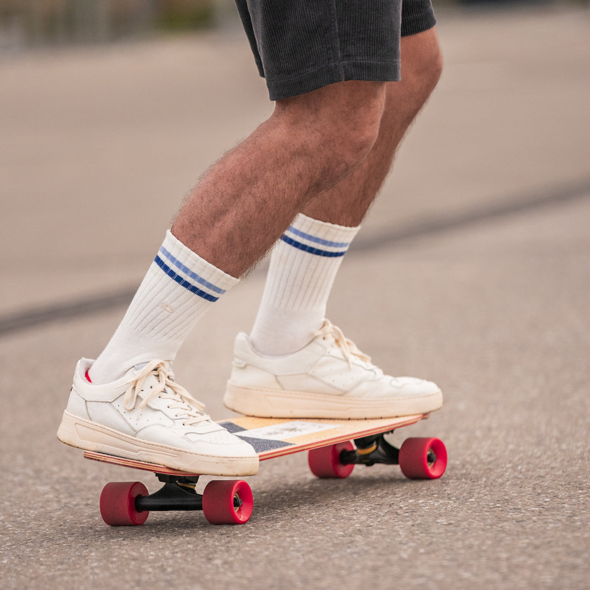 Socks in combed cotton Retro - White, blue striped