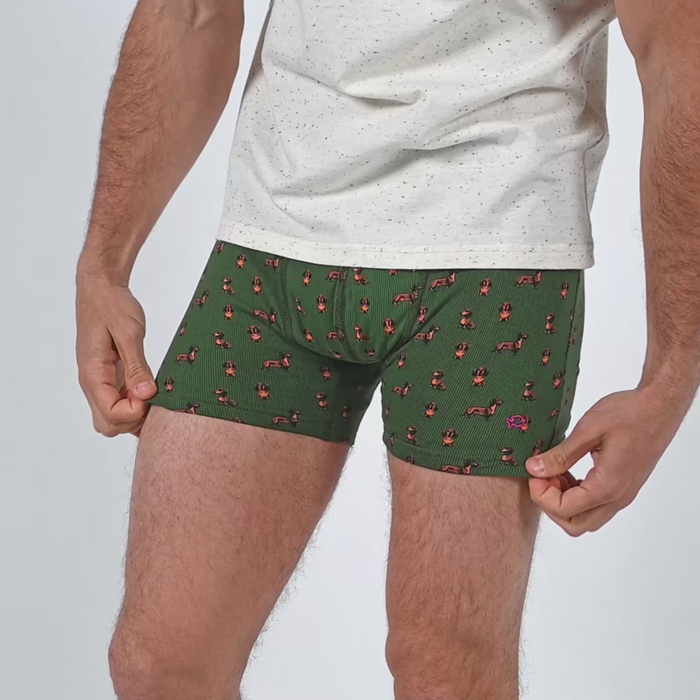 Boxer brief in organic cotton Teckel